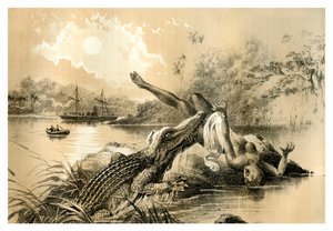 Przerażający incydent, 1883 autorstwa Unbekannt
