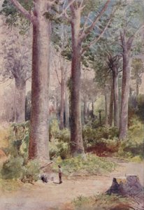 Las Kauri, 1923. autorstwa Unbekannt