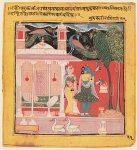 Dama zrywająca kwiaty z pawiami, Gunakali Ragini z Malkos, z Chawand Ragamala, 1605. autorstwa Unbekannt