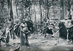 Wioska pigmejska, północno-wschodnie dorzecze Konga, 1912 r. autorstwa Unbekannt