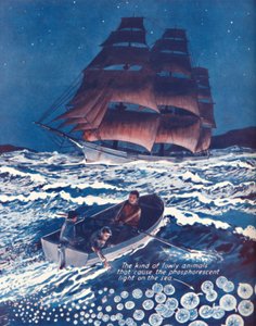 Morze oświetlone żywymi nocami, 1935 autorstwa Unbekannt