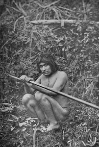 Yaghan przyczepiający głowę swojego harpuna do szybu, 1911 autorstwa Unbekannt