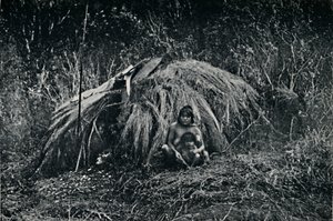 Chata Yaghan w Fuegia, 1911 autorstwa Unbekannt