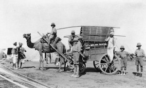 Wózek na wielbłądzie, Indie, 1916-1917 autorstwa Unbekannt