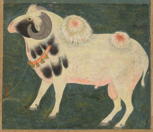 Baran królewski ze złotym łańcuszkiem, ok. 1900 r. 1585, granica dodana prawdopodobnie 1700s. autorstwa Unbekannt