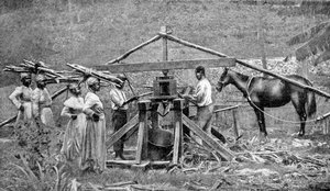 Drewniany, napędzany przez konie młyn do kruszenia trzciny cukrowej, Indie Zachodnie, 1922 autorstwa Unbekannt
