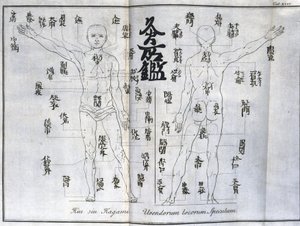 Akupunktura: mapa ludzkiego ciała wskazująca punkty moxibustion, Japonia (wykres dotyczący moksy, ok. 1690) autorstwa Unbekannt