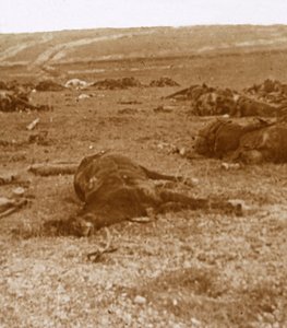 Po szarży Beauséjour, północna Francja, c1914-c1918 autorstwa Unbekannt