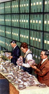 Luftschutzmaßnahmen, Zigarettenkarte, britisch, 1938 von Unbekannt