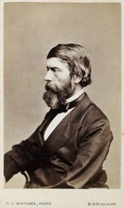 Alexander William Williamson, szkocki chemik, ok. 1865 autorstwa Unbekannt