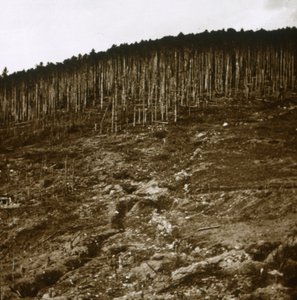 Alzacja, c1914-c1918 autorstwa Unbekannt