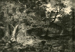 Stary las niemiecki, 1890. autorstwa Unbekannt