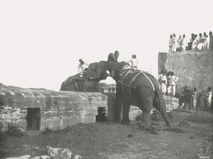 Walka słoni, Hyderabad, Indie, 1895. autorstwa Unbekannt