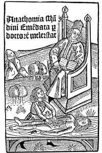 Demonstracja anatomii, 1493 autorstwa Unbekannt
