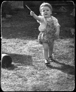 Andrew Nurnberg, syn fotografa Waltera z kijem w ogrodzie, C1954 autorstwa Unbekannt
