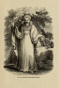Arcydruid w pełnym kostiumie sędziowskim Z książki Old England: A Pictorial Museum, 1845 autorstwa Unbekannt