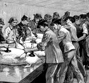 Ubojnia trzody chlewnej firmy Armor Company, Chicago, Illinois, USA, 1892 r. autorstwa Unbekannt