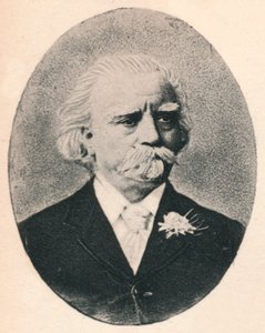 Sierpień Mann., 1895 autorstwa Unbekannt