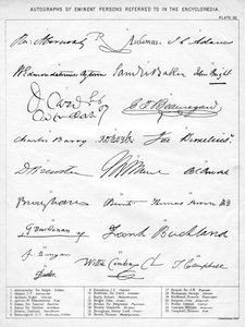 Autografy Wybitnych Osób, XIX w. autorstwa Unbekannt