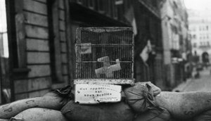Barykada na Rue de Chateaudun, wyzwolenie Paryża, sierpień 1944 autorstwa Unbekannt