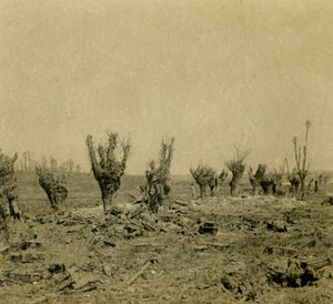 Pole bitwy, Maurepas, północna Francja, c1914-c1918 autorstwa Unbekannt