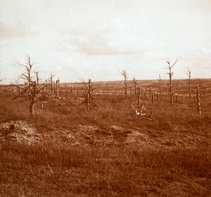 Pole bitwy, Tahure, północna Francja, c1914-c1918 autorstwa Unbekannt
