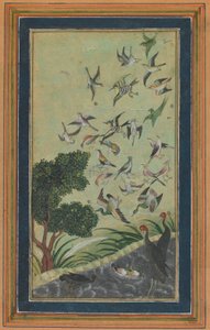 Ptaki w Baran, prawdopodobnie z Babur-nama, koniec XVI wieku. autorstwa Unbekannt