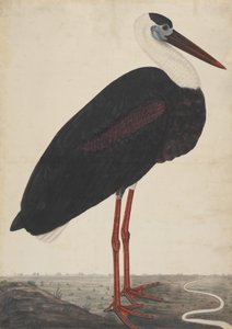 Bocian czarny w krajobrazie, ca. 1780. autorstwa Unbekannt