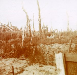 Śrutowane drewno, Nieuwpoort, Flandria, Belgia, c1914-c1918 autorstwa Unbekannt