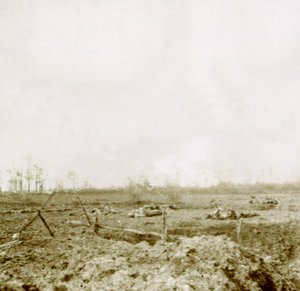 Ciała po ataku, c1914-c1918 autorstwa Unbekannt