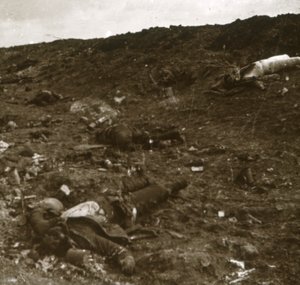 Body, Somma, północna Francja, c1916-c1918 autorstwa Unbekannt