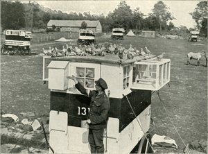 British Army Carrier Pigeons we Francji: Horse-Drawn Lofts, 1919. autorstwa Unbekannt