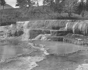 Źródła siarki brunatnej, Park Narodowy Yellowstone, USA, ok. 1900 r. autorstwa Unbekannt