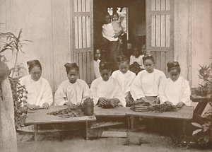 Birmańscy producenci cygar, 1900. autorstwa Unbekannt