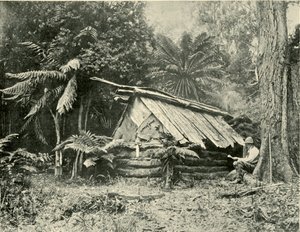 Bush Hut, Dandenong Ranges, Wiktoria, 1901. autorstwa Unbekannt