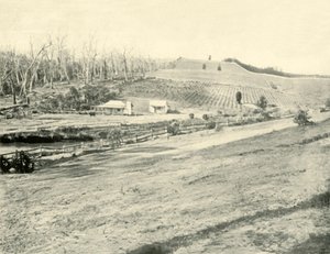 Bush Workmans Home, Gippsland, Victoria, 1901. autorstwa Unbekannt