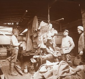 Rzeźnicy na barce, Somme, północna Francja, c1914-c1918 autorstwa Unbekannt