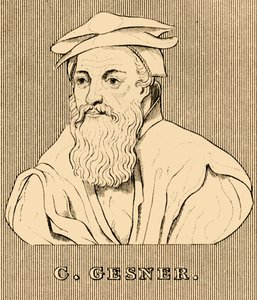 C. Gesner, 1516-1565, 1830 autorstwa Unbekannt
