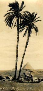 Kair - Piramidy w Girzeh, c1918-c1939. autorstwa Unbekannt