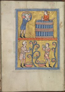 Kalendarz, wrzesień, mężczyźni zbierający i depczący winogrona - Psałterz Eleonory Akwitanii (ok. 1185) - KB 76 F 13, folium 009v autorstwa Unbekannt
