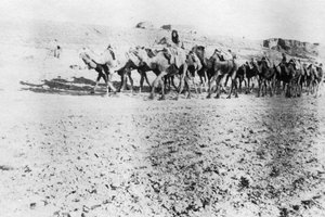 Pociąg wielbłądów, Mosul, Mezopotamia, 1918 autorstwa Unbekannt
