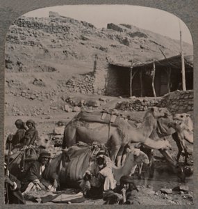 Pociąg wielbłądów z Jerash, podlewanie przy Fontannie Elizeusza, ok. 1900 autorstwa Unbekannt