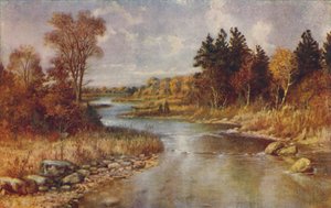 Kanadyjska scena leśna, 1924 autorstwa Unbekannt