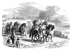 Wożenie chleba do Londynu na jucznych koniach, ok. 1895 r. autorstwa Unbekannt