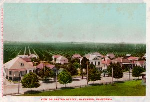Castro Street, Hayward, Kalifornia, 1905 autorstwa Unbekannt