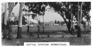 Gospodarstwo przy stacji bydła, Australia, 1928 autorstwa Unbekannt