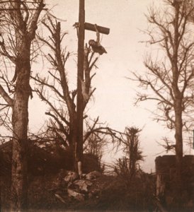 Cmentarz w Arras, północna Francja, c1914-c1918 autorstwa Unbekannt