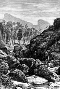 Cejlon Sri Lanka, 1895 autorstwa Unbekannt