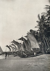 Morskie łodzie rybackie z podporą cejlońską, 1926 autorstwa Unbekannt