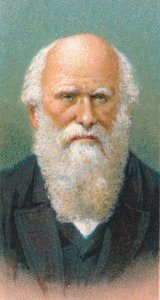 Karol Darwin 1809-1882, brytyjski przyrodnik, 1924 autorstwa Unbekannt